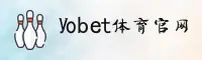 使用指南与常见问题